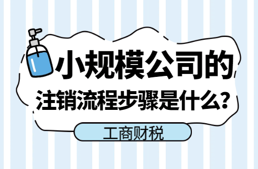 小规模公司的注销流程步骤是什么？