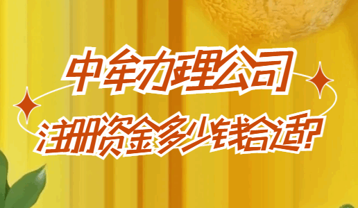 中牟办理公司注册资金多少钱合适？